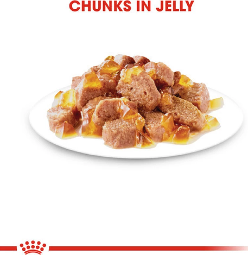 ROYAL CANIN ADULT INSTICTIVE IN JELLY - 85gr