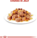 ROYAL CANIN ADULT INSTICTIVE IN JELLY - 85gr