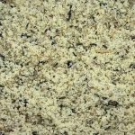Pastoncino S.Michele Chloris - 5KG