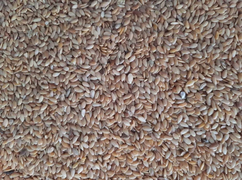 Λινάρι Χρυσό χύμα - 1KG
