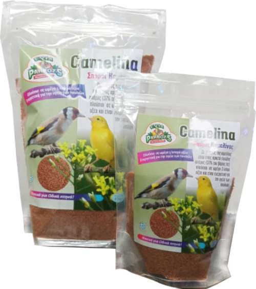 EVIA PARROTS CAMELINA - 800gr