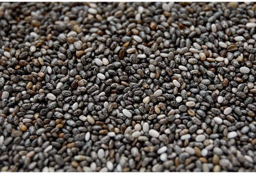 Κία (Chia) Salvia Hispanica - 250gr