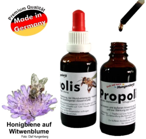 Hungenberg Propolis Πρόπολη 50ml - 50ml