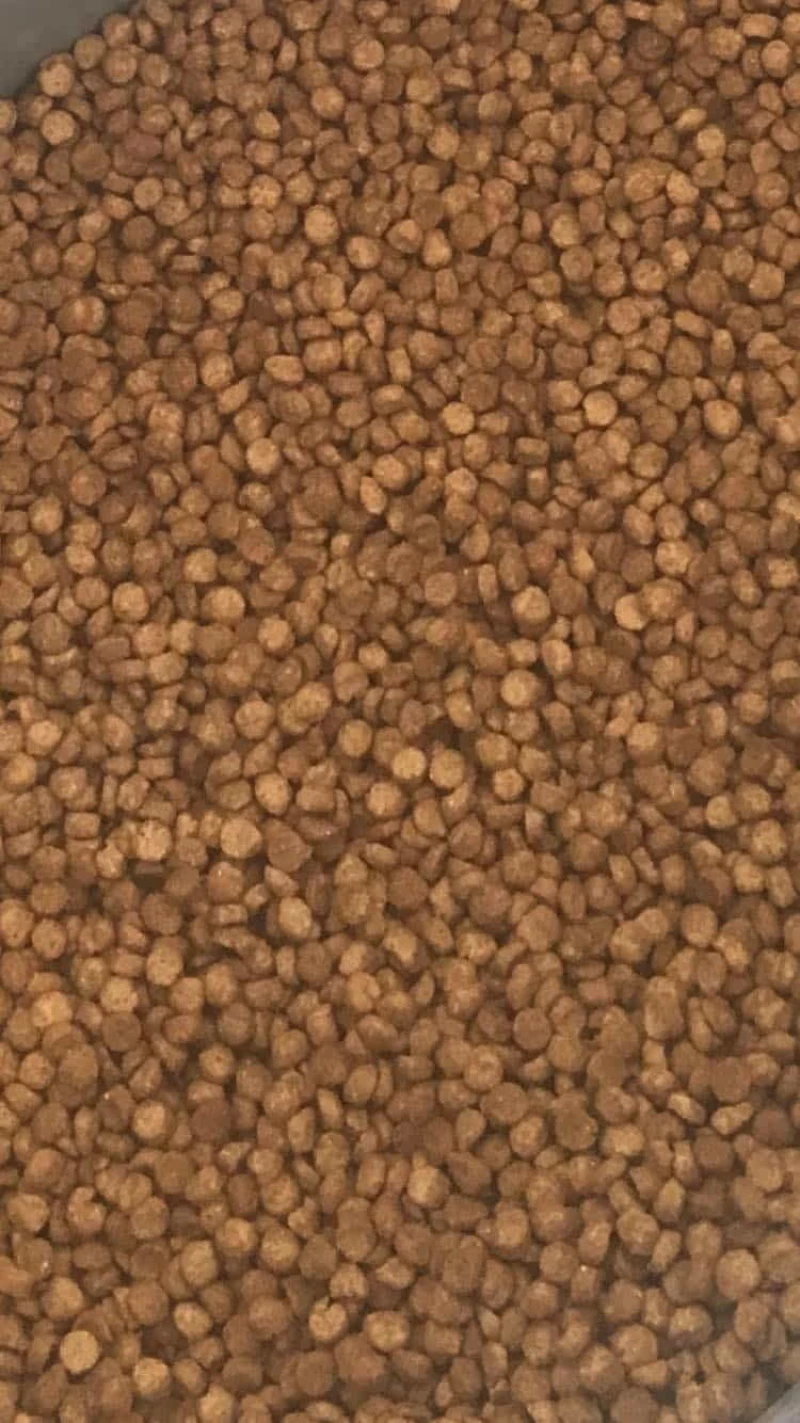 Askio Nature High Energy - 1KG