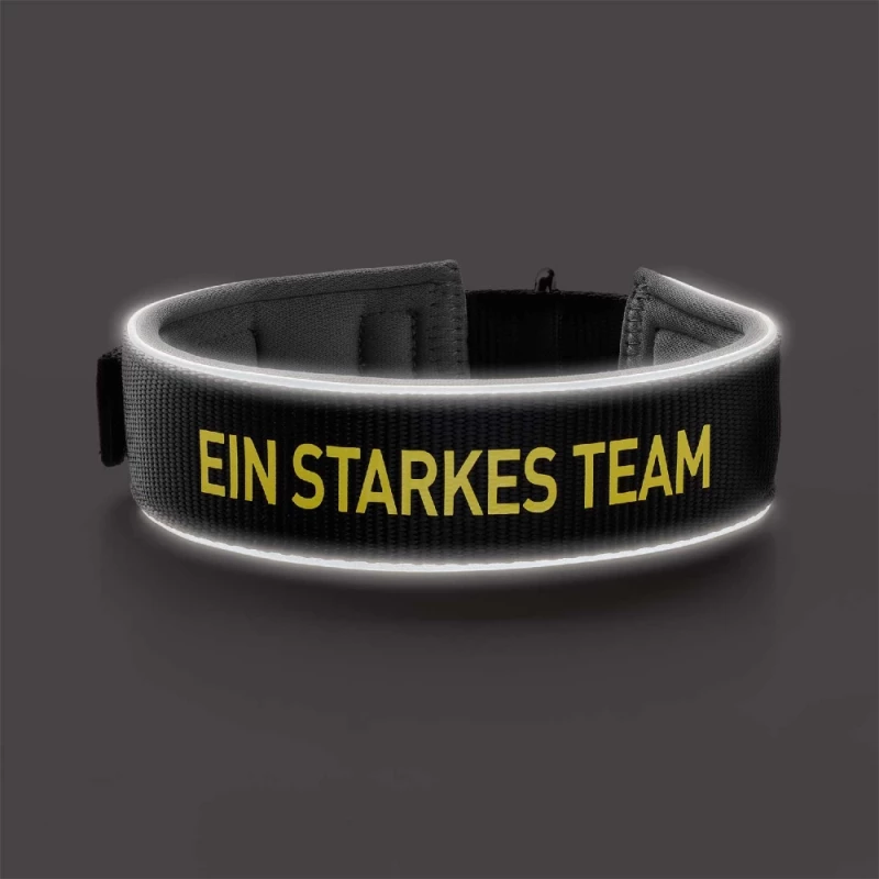 Περιλαίμιο Σκύλου Hunter Collar Neopren Reflect 50 M 4,5x39-46cm Borussia Dortmund