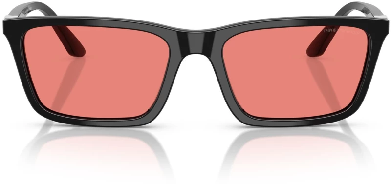 EMPORIO ARMANI EA4239U 5017/84