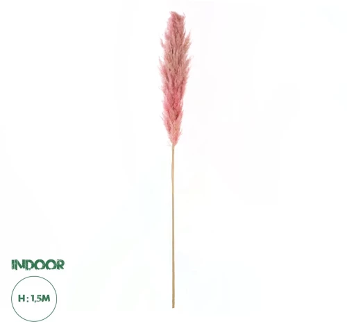 GloboStar® Artificial Garden PAMPAS GRASS 21218 Αποξηραμένο Διακοσμητικό Γρασίδι Πάμπας Μ10 x Π10 x Υ150cm