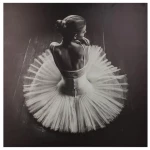 Υφασμάτινος Πίνακας σε Καμβά 78 x 78 cm Dancer Atmosphera 158211