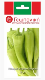 Πιπεριά Κέρατο Κίτρινη P14 | 1gr