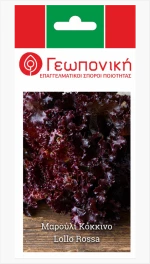 Μαρούλι Lollo Rossa | 5gr