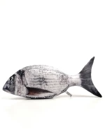 Τσιπούρα - fishome