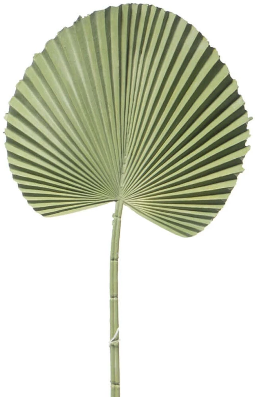 Τεχνητό Φύλλο Φοίνικα Licuala 3271-7 52cm Green Supergreens Πολυαιθυλένιο