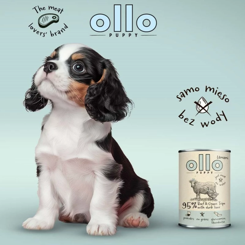 Υγρό φαγητό Ollo