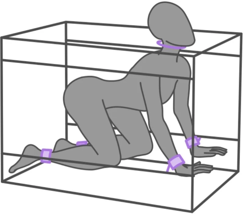 SECRET DOME - KINK CLUB LA NICHE CABIN PURPLE