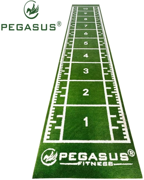 Συνθετικός Χλοοτάπητας 2x11m Pegasus 3159