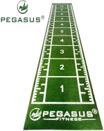 Συνθετικός Χλοοτάπητας 2x11m Pegasus 3159