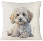Action Lab Pillow Maltese 40x40x10cm