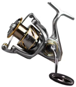 Ryobi Zauber SW - 2000