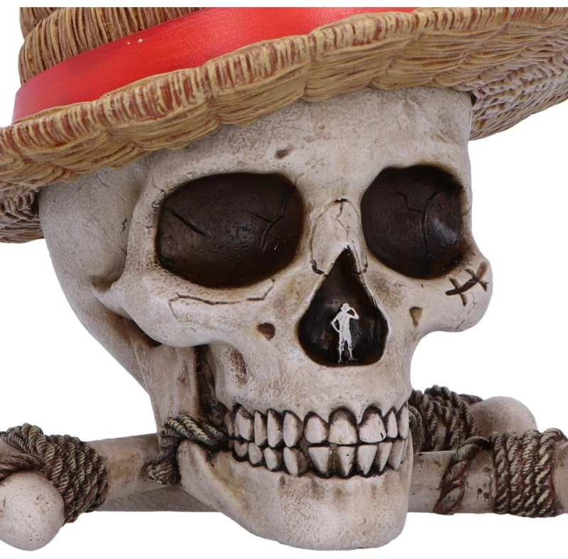 TBN One Piece Luffy Jolly Roger Box / Fan Shop and Merchandise