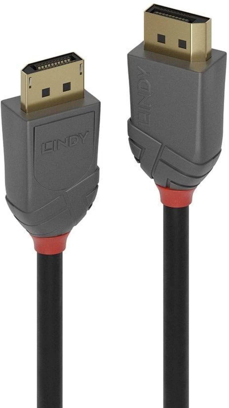 Lindy LY-36482 Cable DisplayPort male - DisplayPort male 2m Μαύρο