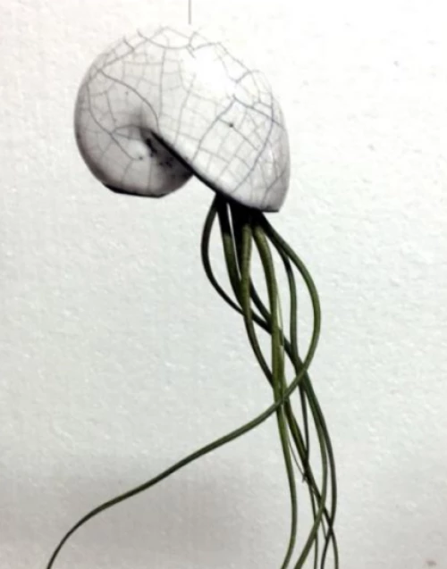 Χειροποίητο Κεραμικό Κοχύλι - Λευκό