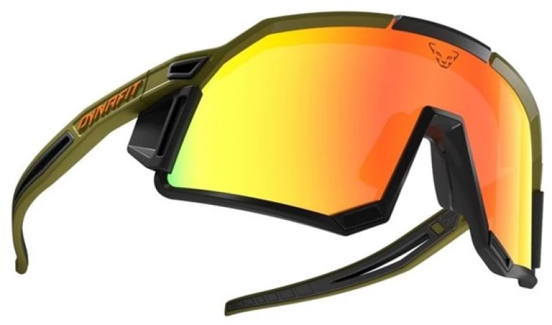 DYNAFIT glasses sky evo-winter moss-dawn