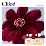 Chloe Le Parfum 100ml