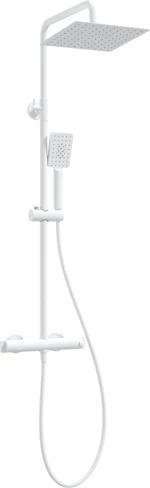 Showerhead w/ thermostatic shower mixer