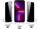 POWERTECH tempered glass Emery Private 5D TGC-0769 για iPhone 16 Plus, full glue