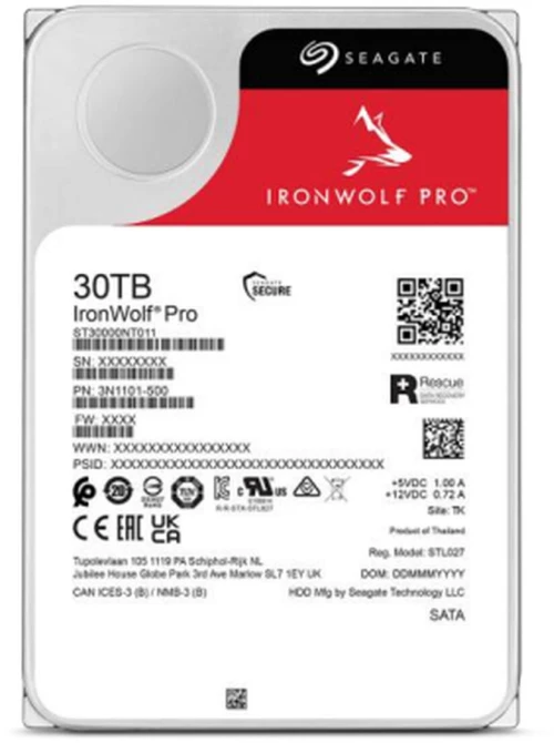 Σκληρός δίσκος Seagate ST30000NT011 3,5"