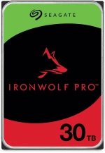 Σκληρός δίσκος Seagate ST30000NT011 3,5"