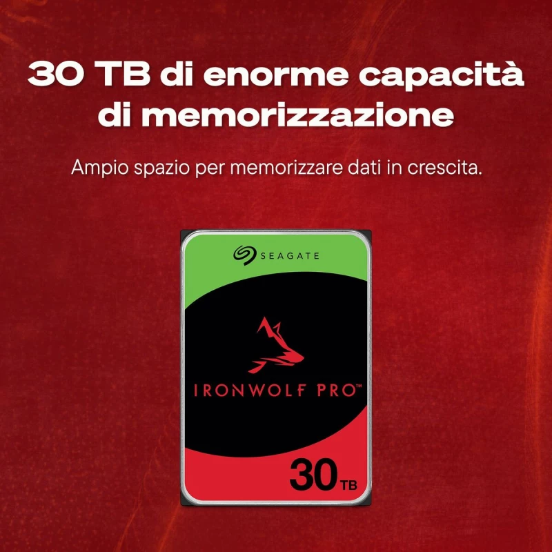 Σκληρός δίσκος Seagate ST30000NT011 3,5"