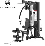 Πολυόργανο Pegasus® HG8 308878800