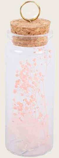 Beauty Home ΒΑΖΑΚΙ ΜΕ ΑΠΟΞΗΡΑΜΕΝΑ ΡΟΖ ΛΟΥΛΟΥΔΙΑ – 3,7 x 9 cm