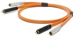 Oyaide d+ RCA Class A - 2.0m - Καλώδιο 2x RCA male - 2x RCA male - 2 μέτρα