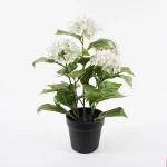 Διακοσμητικό φυτό σε γλάστρα Hydrangea Inart λευκό Φ35x50εκ