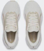 UNDER ARMOUR W Ascend  - 6009828-110