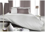 Παπλωματοθήκη Μονή Guy Laroche Minimal Silver 165x225