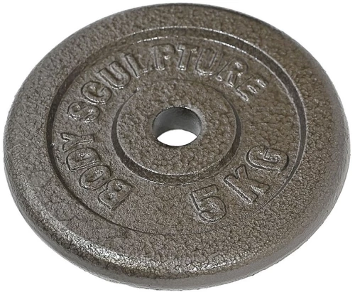 Δίσκος Μεταλλικός 5 kg