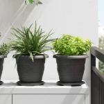 vidaXL Γλάστρες φυτών 24 pcs Μαύρο Ø 26 x 21.5 εκ Πλαστικό