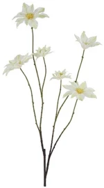 Clematis κλαδί λευκό 113εκ.