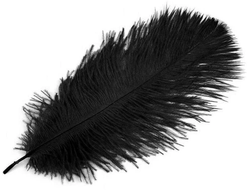 Furry black