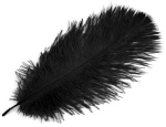 Furry black