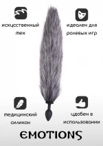 Shaggy Grey