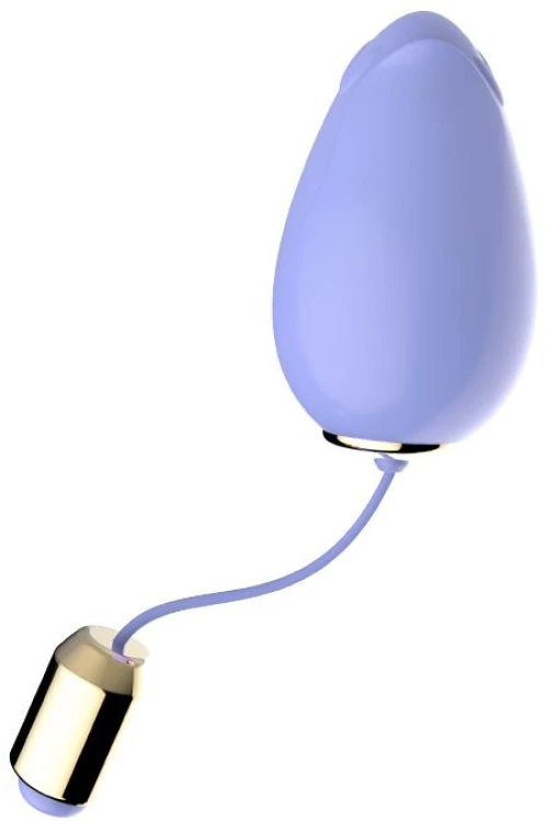 Vibrating Vaginal Mini Δονητής Egg με Απομακρυσμένο Έλεγχο 7.3cm