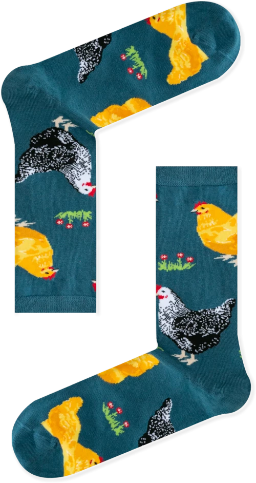 Γυναικείες Κάλτσες Hens