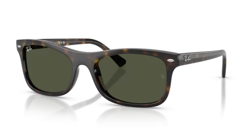 RAY BAN RB 2226 710/31