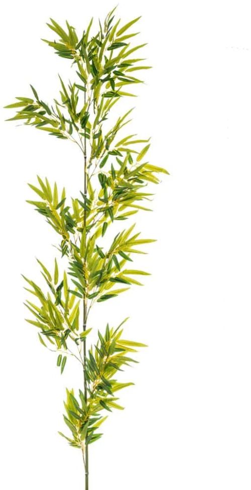 ΠΡΑΣΙΝΟ ΚΛΑΔΙ BAMBOO ΓΙΓΑΣ 2Μ