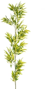ΠΡΑΣΙΝΟ ΚΛΑΔΙ BAMBOO ΓΙΓΑΣ 2Μ