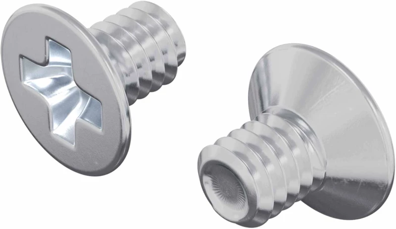 vidaXL Βίδες με Σκούρο Κεφάλι 2 pcs Ασημί M4 x 6 χλστ Ατσάλι